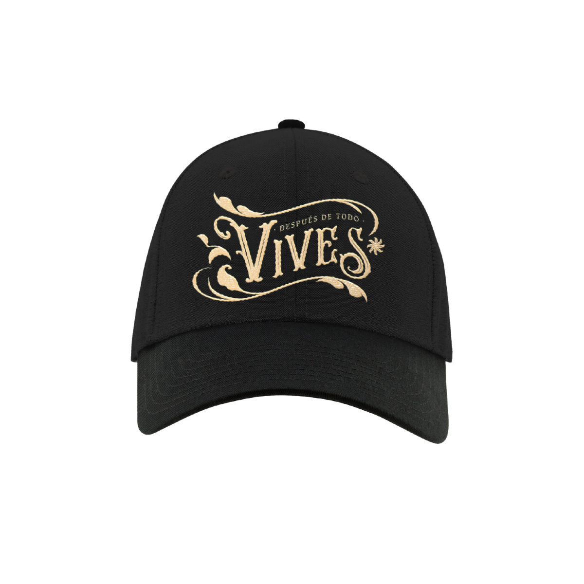 VIVES Black Dad Hat